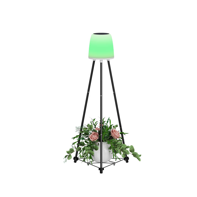 0.2W Zonne kerstverzorgingslampen 0.3kg Innerlijke doos Grootte 22*20*40.5CM G.W 1.9KG