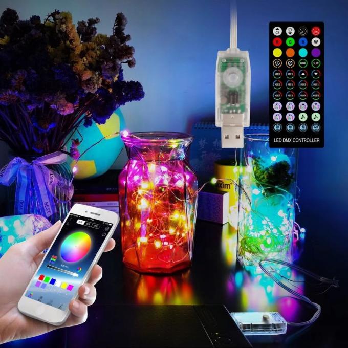 Binnen Openlucht Decoratieve Micro Mini Fairy Light voor het Festival van de LEIDENE van de Kerstmisvakantie het Koordlicht Koperdraad