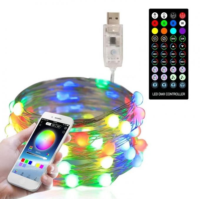 Binnen Openlucht Decoratieve Micro Mini Fairy Light voor het Festival van de LEIDENE van de Kerstmisvakantie het Koordlicht Koperdraad