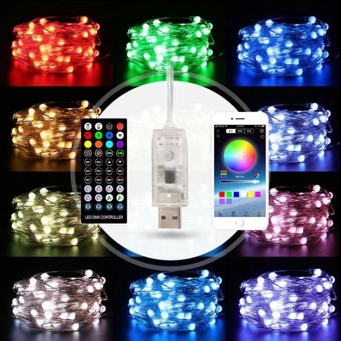 Binnen Openlucht Decoratieve Micro Mini Fairy Light voor het Festival van de LEIDENE van de Kerstmisvakantie het Koordlicht Koperdraad