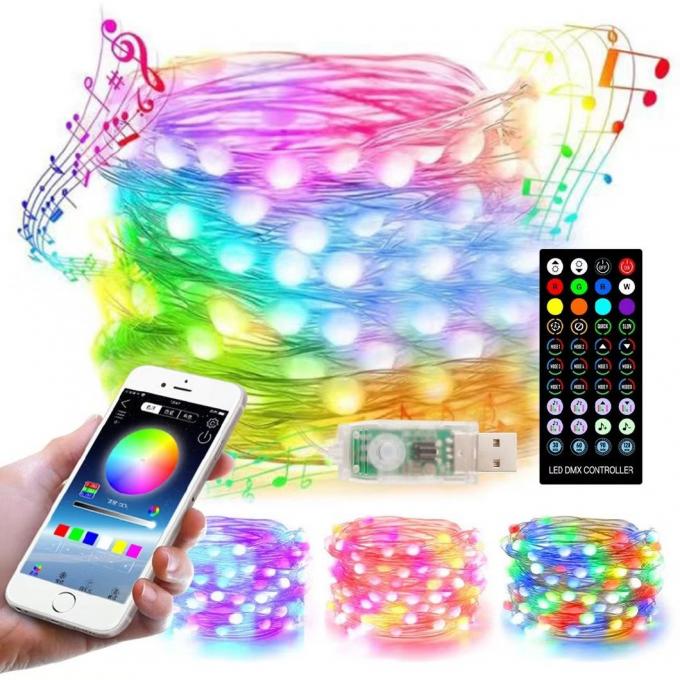 Binnen Openlucht Decoratieve Micro Mini Fairy Light voor het Festival van de LEIDENE van de Kerstmisvakantie het Koordlicht Koperdraad