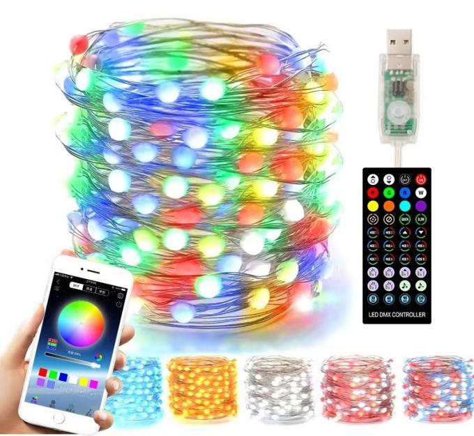 Binnen Openlucht Decoratieve Micro Mini Fairy Light voor het Festival van de LEIDENE van de Kerstmisvakantie het Koordlicht Koperdraad