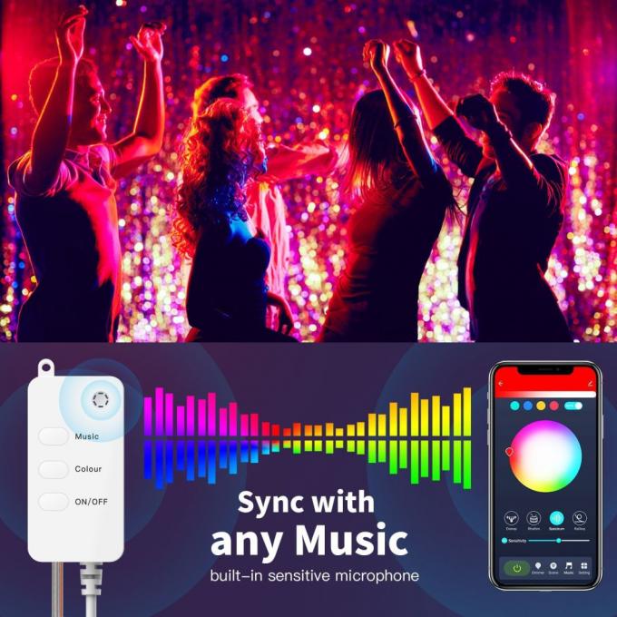 Van de Bollichten van USB Bluetooth WiFi Verre Kleurrijke Decoratieve LEIDENE Lichten