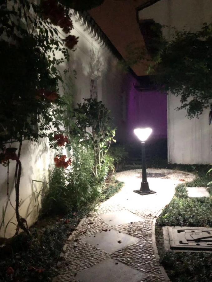 3W het Parklicht van de landschaps Zonne Aangedreven Tuin met Pool