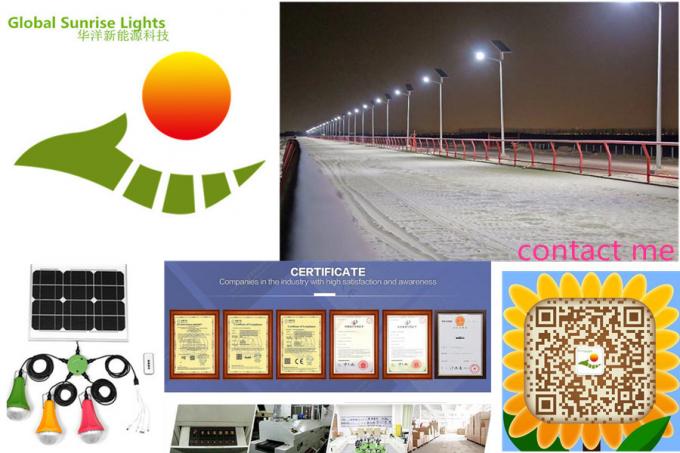 Zonnefm Radio Zonneuitrusting van het Zonnehuis Licht Kit Global Sunrise Lights van het Netzonnestelsel 10W 9