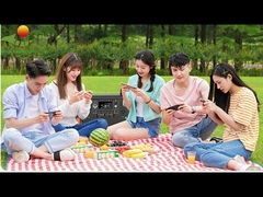 1000W Portable Solar Generators Solar Home Lighting System With Solar Panel