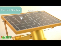 6W geïntegreerde Apple Solar LED-straatverlichting Path automatische zonne-tuinverlichting